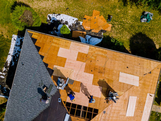 Best Roof Waterproofing Services  in Columbia Heights, MN