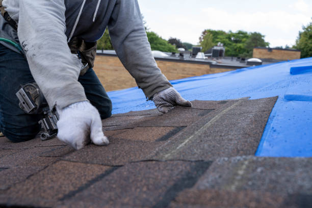 Best Roof Leak Repair  in Columbia Heights, MN