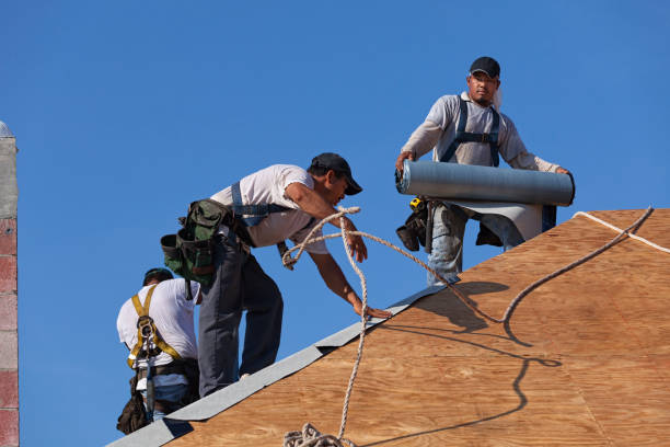 Best New Roof Installation  in Columbia Heights, MN