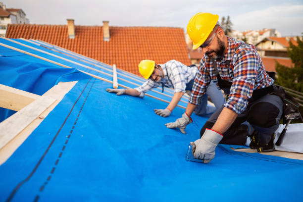 Best Commercial Roofing Services  in Columbia Heights, MN