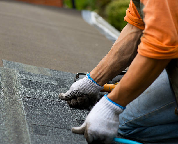 Best Roof Gutter Cleaning  in Columbia Heights, MN